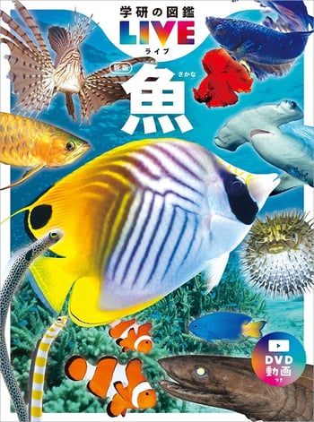 gakken-zukan-live_new_fish